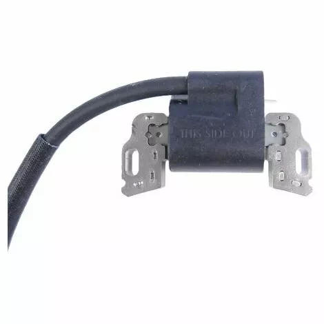 Bobine Allumage Moteur Autoportée Briggs Et Stratton 3 Bobine Allumage Moteur Autoportée Briggs Et Stratton