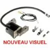 Bobine Allumage Briggs Et Stratton -Tondeuse Boutique 11012208 1