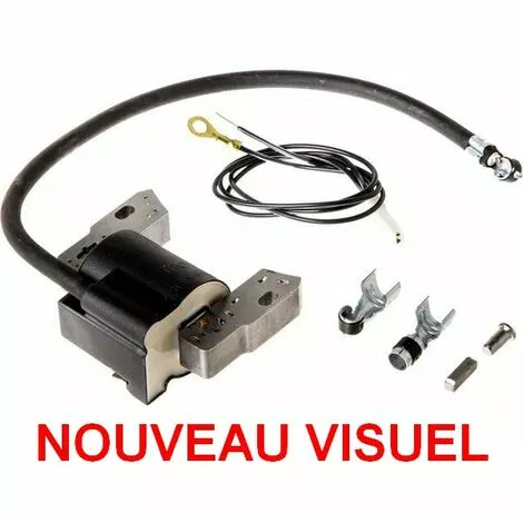 Bobine Allumage Briggs Et Stratton 3 Bobine Allumage Briggs Et Stratton