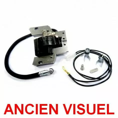Bobine Allumage Briggs Et Stratton 4 Bobine Allumage Briggs Et Stratton – Image 2