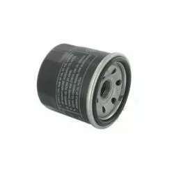 ADAPTABLE Filtre A Huile Briggs Et Stratton - 820314