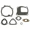 LEM SELECT Kit Joint Pompe à Eau 4612675, 9319110 Adaptable LAVERDA, FIAT -Tondeuse Boutique 15816597 1