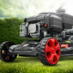 ELEM GARDEN TECHNIC Tondeuse Thermique Poussée 123CC Elem Garden -Tondeuse Boutique 29317476 4