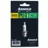 Arnold 3121-c Bougie D'allumage Champion 5-0054 DJ7J DJ8J, Pour 2 à 2 Arnold 3121-c Bougie D'allumage Champion 5-0054 DJ7J DJ8J, Pour 2 à -Tondeuse Boutique 5486288 1