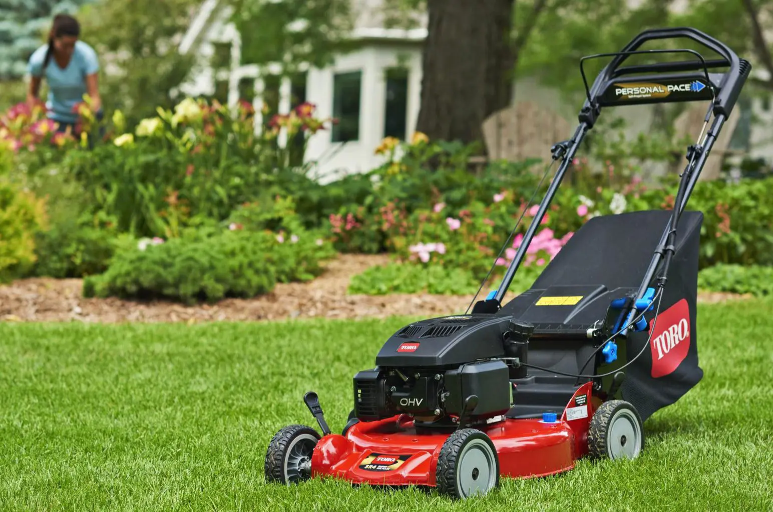 Tondeuse Boutique -Tondeuse Boutique Lawn Mowers.jpg